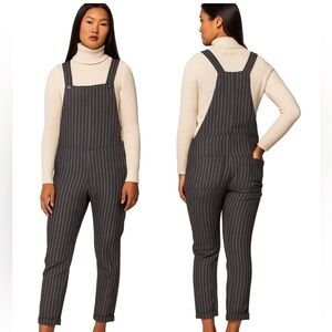 Pyne & Smith Overall Size Small NWT Gray Pinstripe 100% Flax Linen Lagenlook
